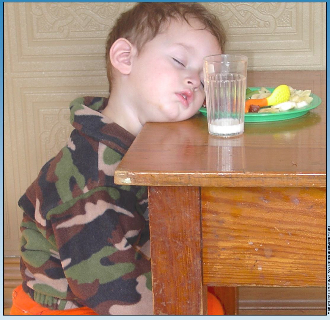 Name:  i-611afb39137858d7f83e123f14957518-napping.jpg
Views: 381
Size:  486.8 KB