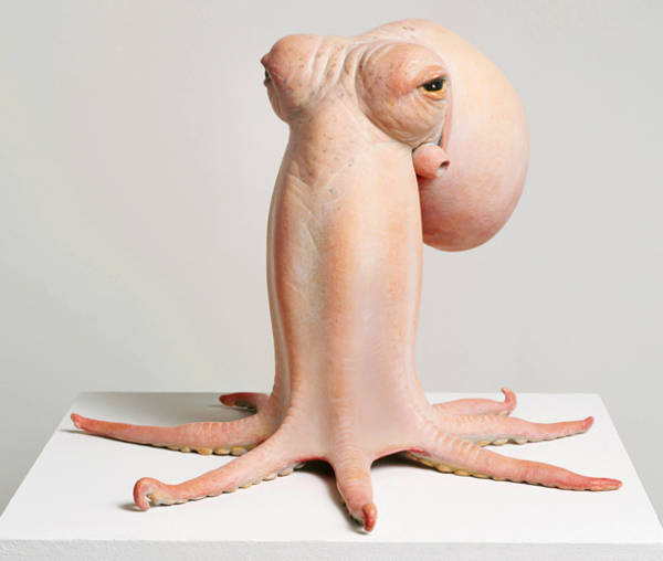 Name:  JF_Octopus.jpg
Views: 618
Size:  22.9 KB