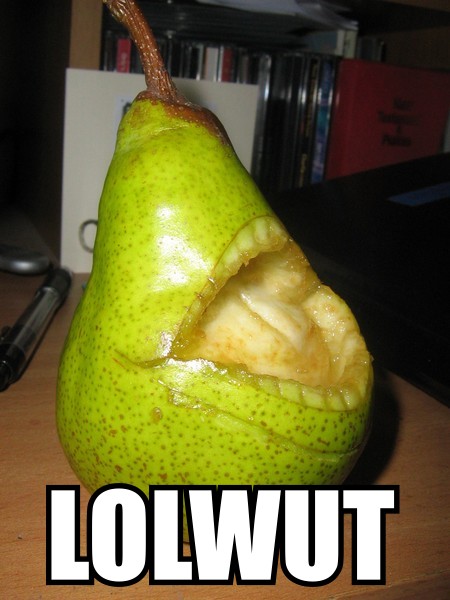 Name:  LOLWUT_by_smilie_terrorist.jpg
Views: 332
Size:  66.7 KB