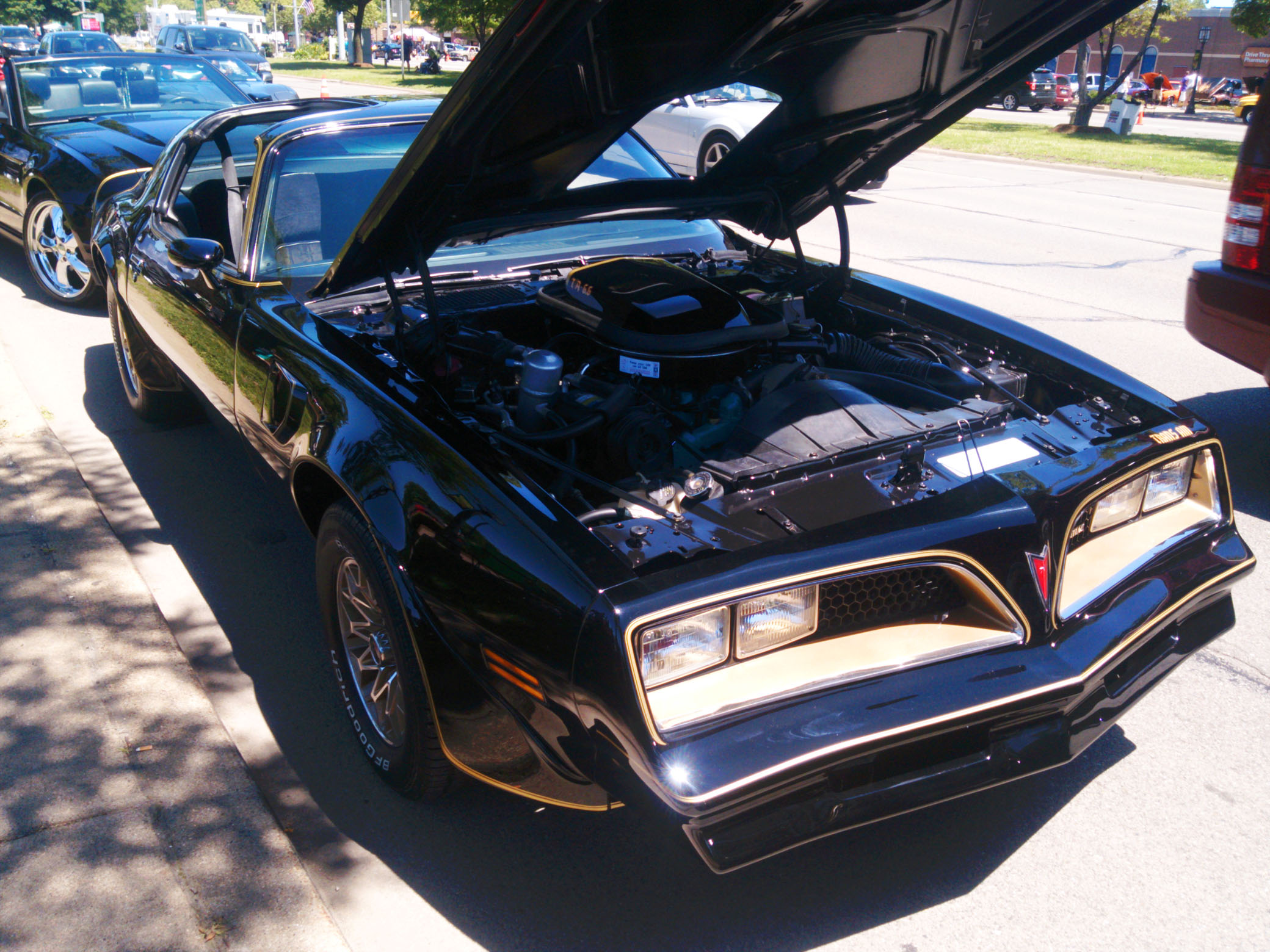 Name:  Firebird Smokey 1.jpg
Views: 216
Size:  557.6 KB