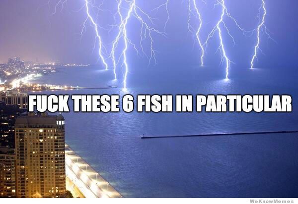 Name:  fuck-these-6-fish-in-particular.jpg
Views: 681
Size:  37.4 KB