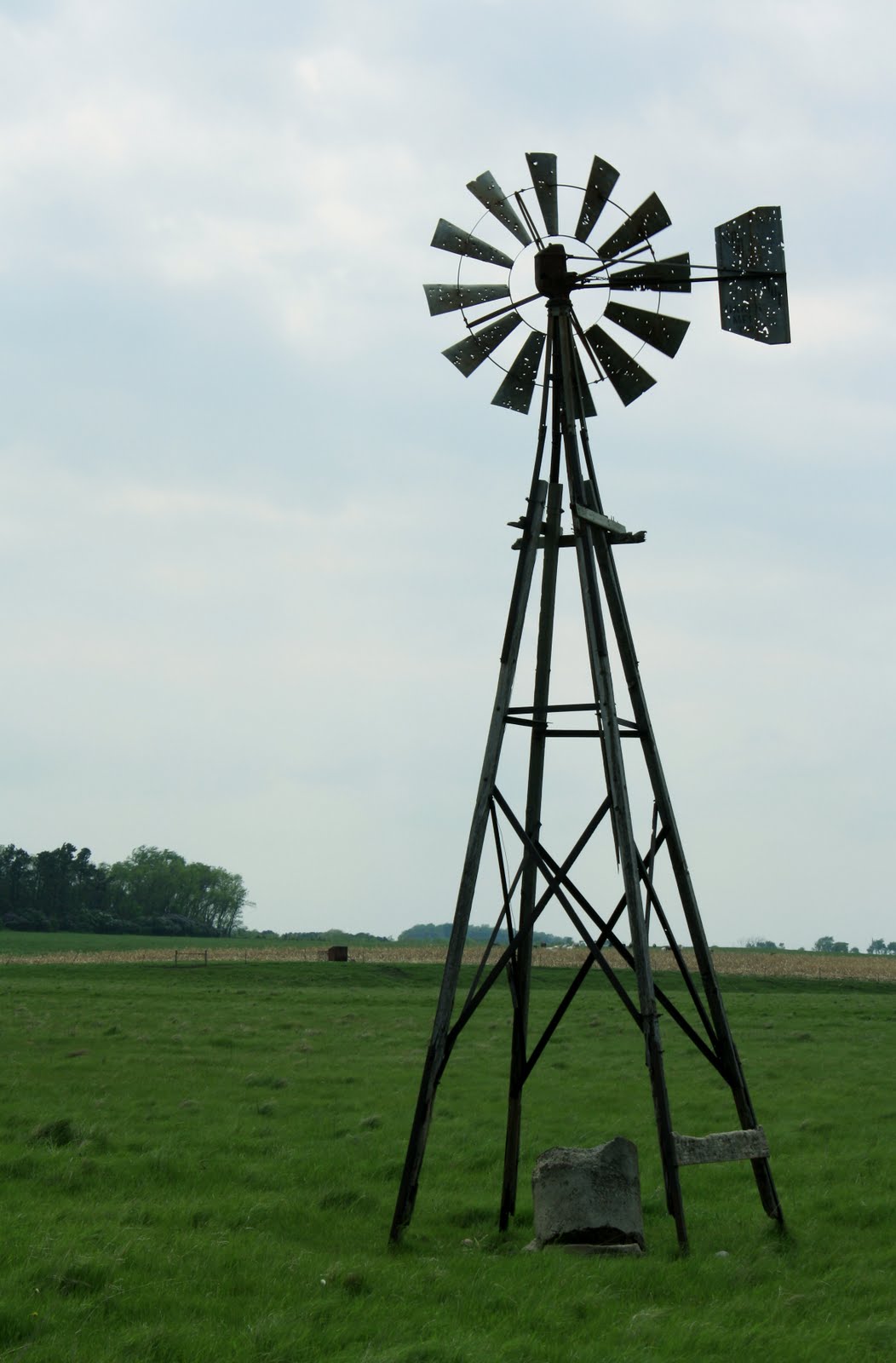 Name:  windmill.JPG
Views: 503
Size:  127.6 KB