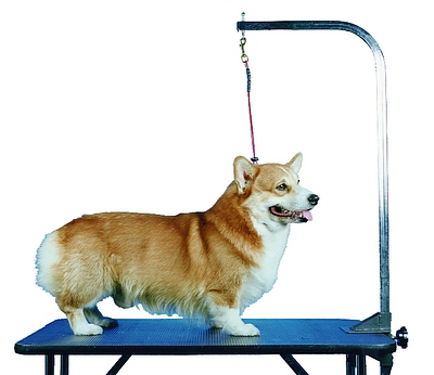 Name:  jsw_cc5gn14-22dog.jpg
Views: 353
Size:  49.2 KB