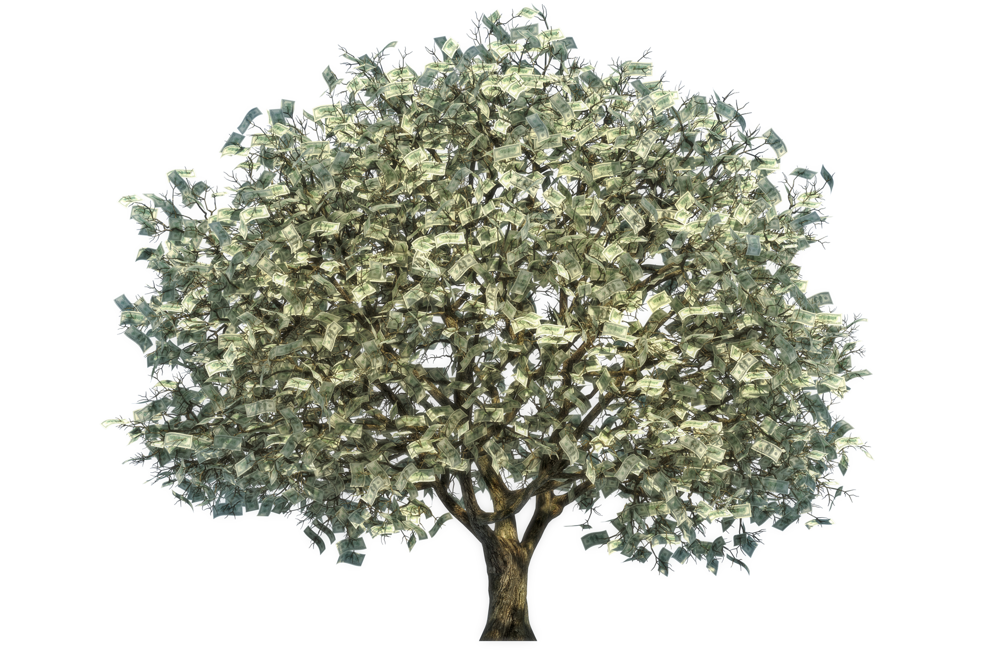 Name:  shutterstock_112255265.jpg
Views: 252
Size:  1.65 MB