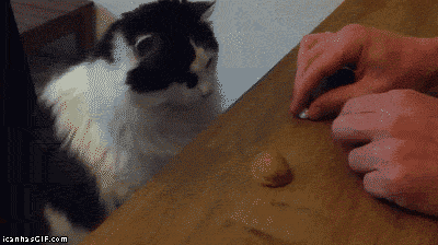 Name:  funny.gif
Views: 355
Size:  810.2 KB