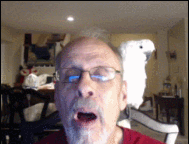 Name:  sklansky.gif
Views: 573
Size:  1.44 MB