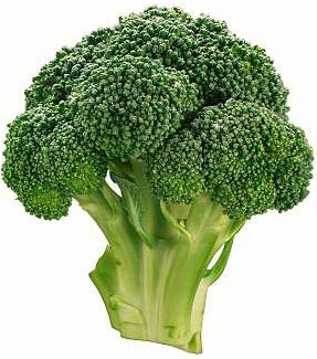 Name:  broccoli3608-prv.jpg
Views: 679
Size:  72.1 KB