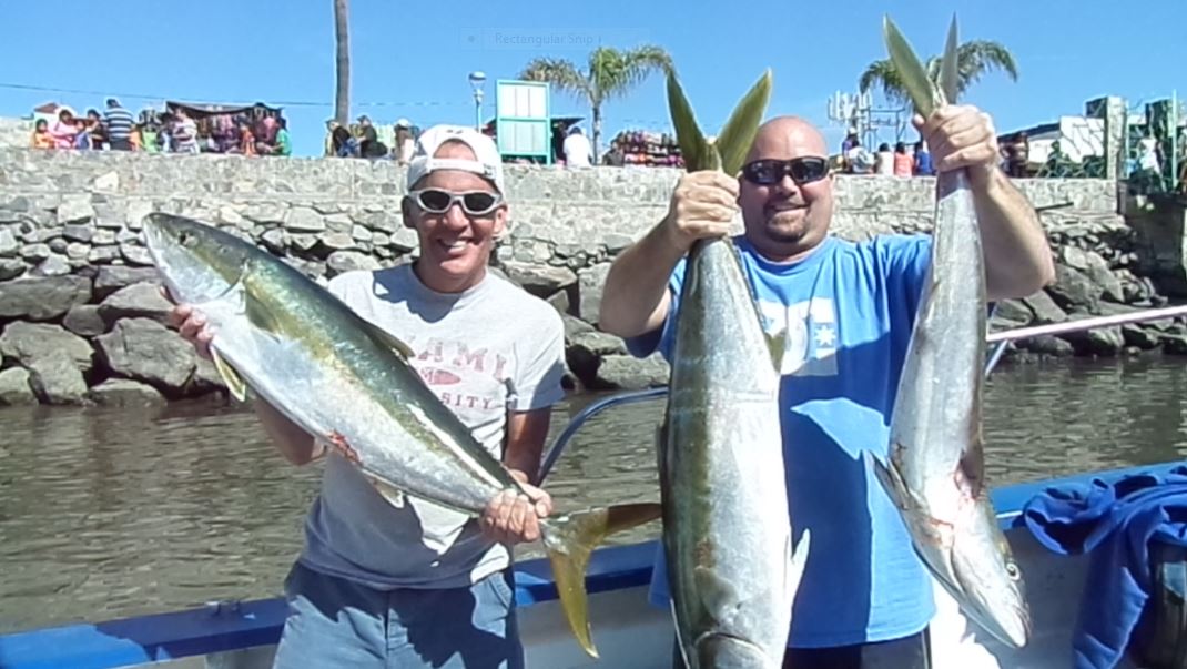 Name:  fish6.JPG
Views: 946
Size:  118.2 KB