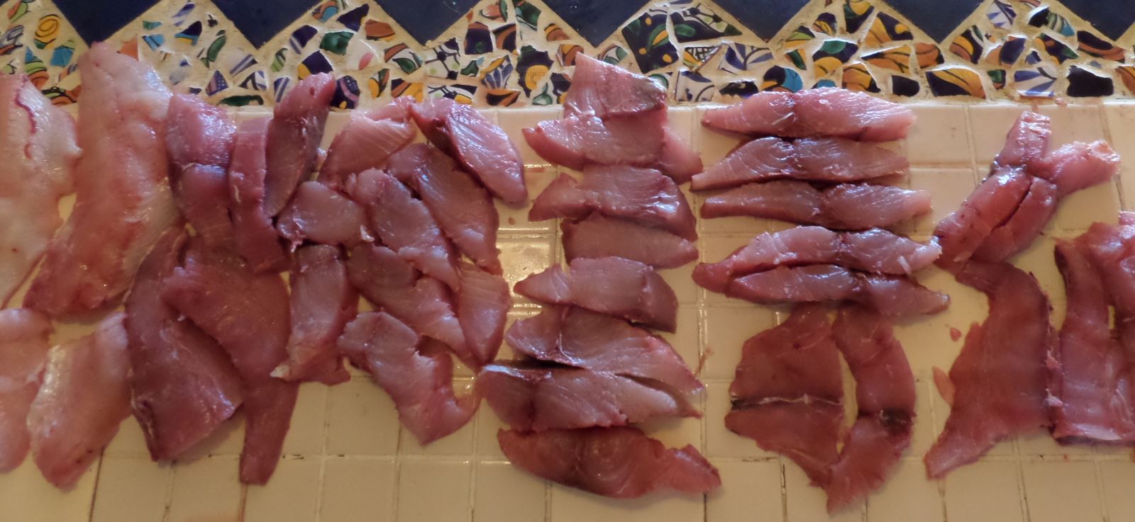 Name:  tuna3.JPG
Views: 764
Size:  158.1 KB