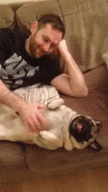 Name:  pug-sneeze-in-the-face.gif
Views: 651
Size:  672.1 KB