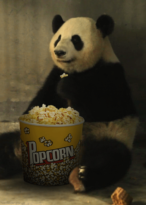 Name:  1.gif
Views: 824
Size:  447.3 KB