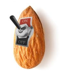 Name:  activatedalmond.png
Views: 134
Size:  55.6 KB