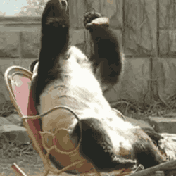 Name:  giphy.gif
Views: 547
Size:  1,018.4 KB
