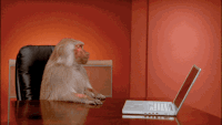 Name:  200w.gif
Views: 464
Size:  253.0 KB