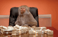Name:  200w.gif
Views: 557
Size:  712.0 KB