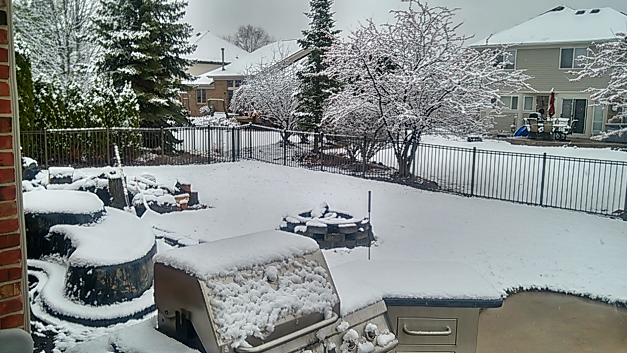 Name:  winter day 1 2015.jpg
Views: 436
Size:  443.6 KB