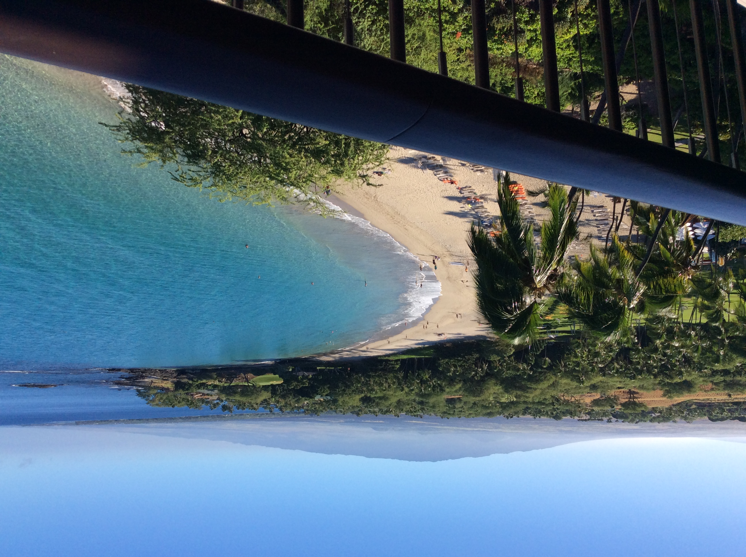 Name:  
Views: 
Size:  