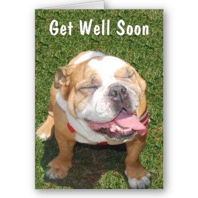 Name:  customizable_bull_dog_get_well_card-p137662307619008546bfo0b_400.jpg
Views: 442
Size:  41.9 KB