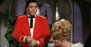 Name:  giphy.gif
Views: 312
Size:  512.9 KB