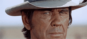 Name:  bronson shake head.gif
Views: 229
Size:  146.9 KB