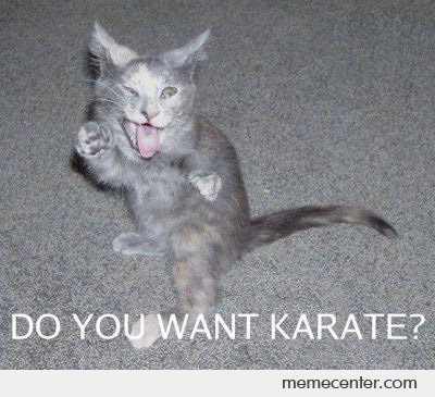 Name:  Do-You-Want-Karate_o_93805.jpg
Views: 182
Size:  36.0 KB