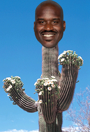 Name:  Shaqtus.png
Views: 683
Size:  231.3 KB
