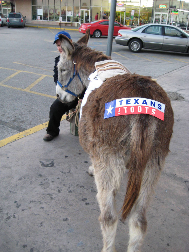Name:  texansfortoots.jpg
Views: 787
Size:  157.6 KB