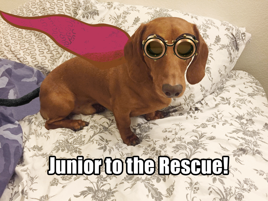 Name:  superhero dog 01.gif
Views: 1173
Size:  1.01 MB