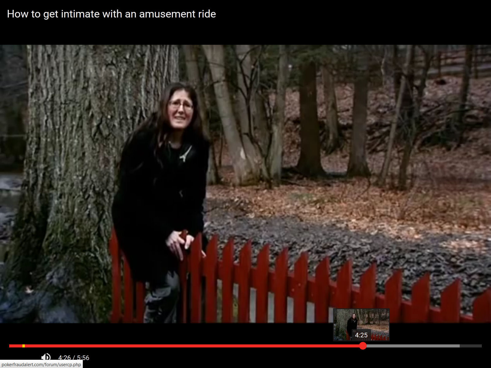 Name:  searls wife fence roller coaster.jpg
Views: 347
Size:  219.3 KB