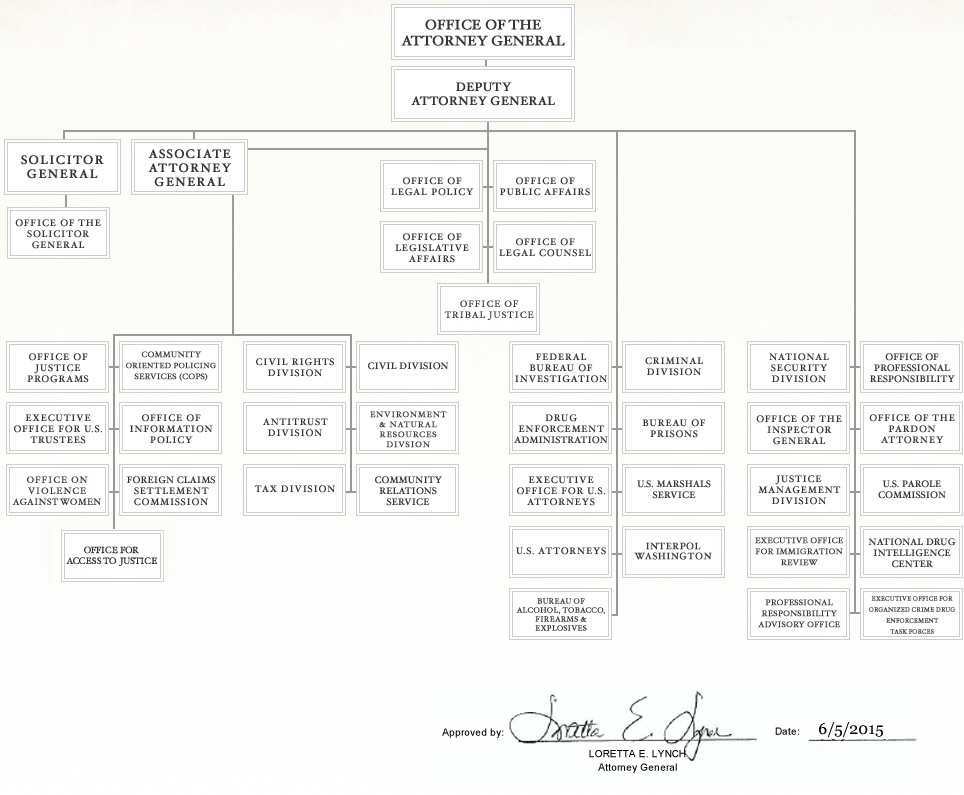 Name:  org-chart_large-7.png
Views: 377
Size:  278.1 KB