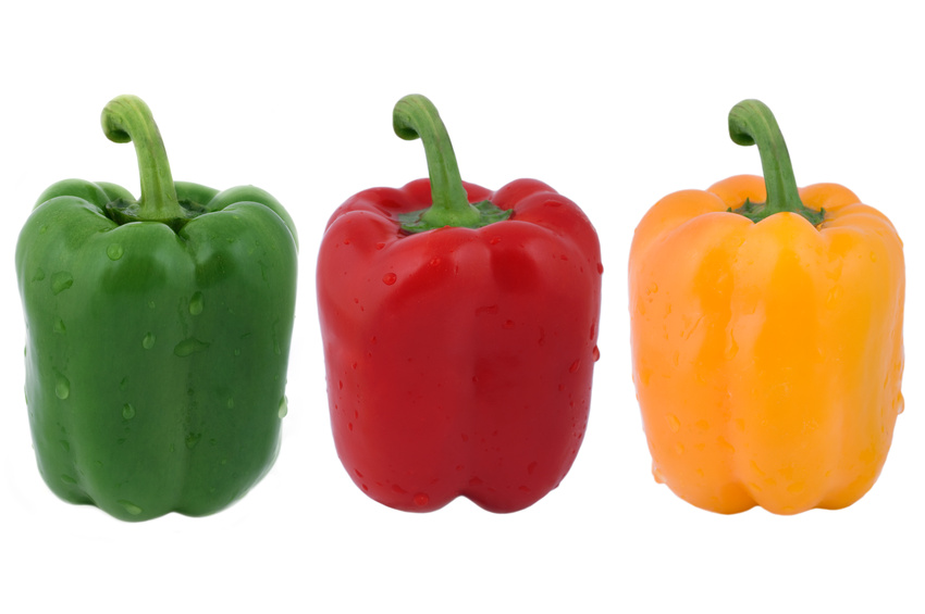 Name:  Bell-Peppers.jpg
Views: 1307
Size:  103.3 KB