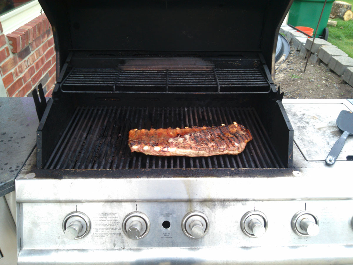 Name:  4D Ribs 02.jpg
Views: 767
Size:  211.7 KB