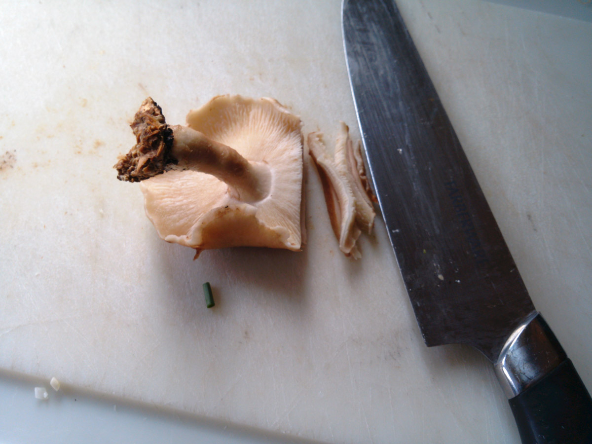 Name:  Stuffed Pork Loin 4D 02.jpg
Views: 501
Size:  191.4 KB