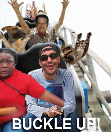 Name:  BuckleUp-1.gif
Views: 476
Size:  112.7 KB