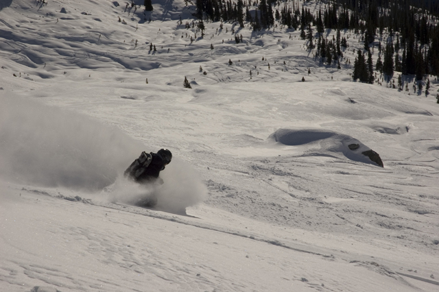 Name:  DSC_0101[1].jpg
Views: 286
Size:  219.9 KB