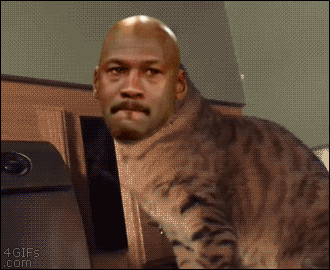 Name:  giphy.gif
Views: 454
Size:  2.64 MB
