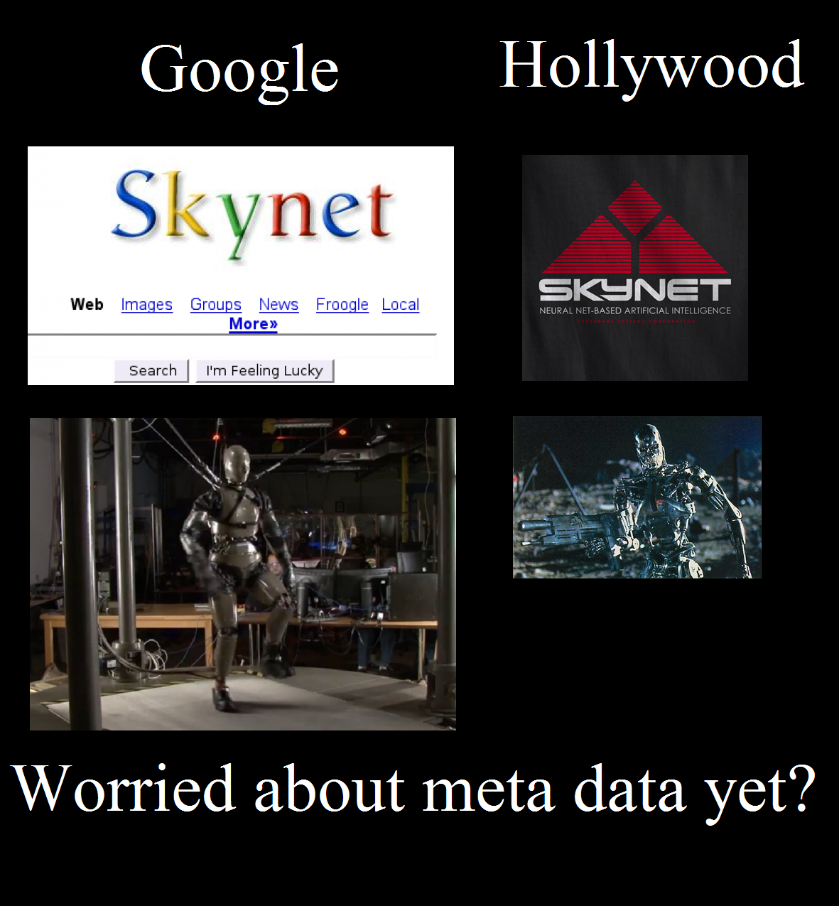 Name:  meta-data-skynet.png
Views: 612
Size:  662.5 KB