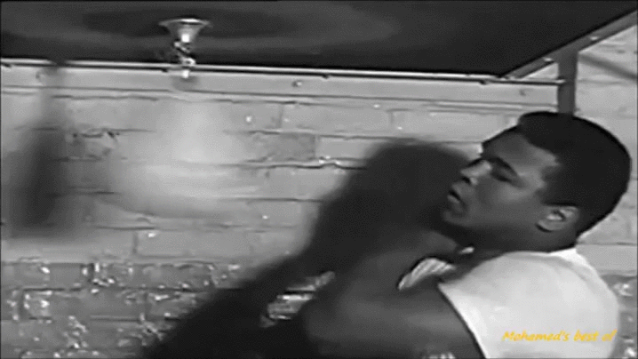 Name:  6A06S6r.gif
Views: 418
Size:  3.54 MB