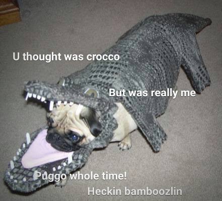 Name:  image.jpeg
Views: 673
Size:  59.1 KB