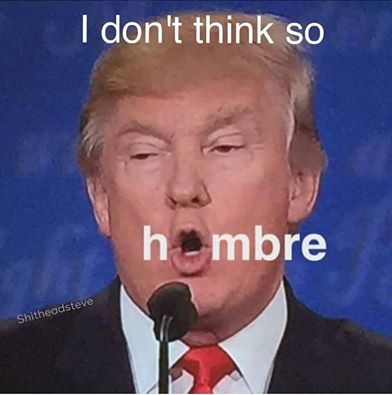 Name:  trump.jpg
Views: 587
Size:  22.6 KB