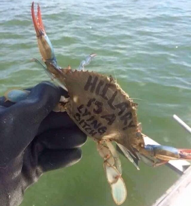Name:  basedcrustacean.jpg
Views: 817
Size:  60.2 KB
