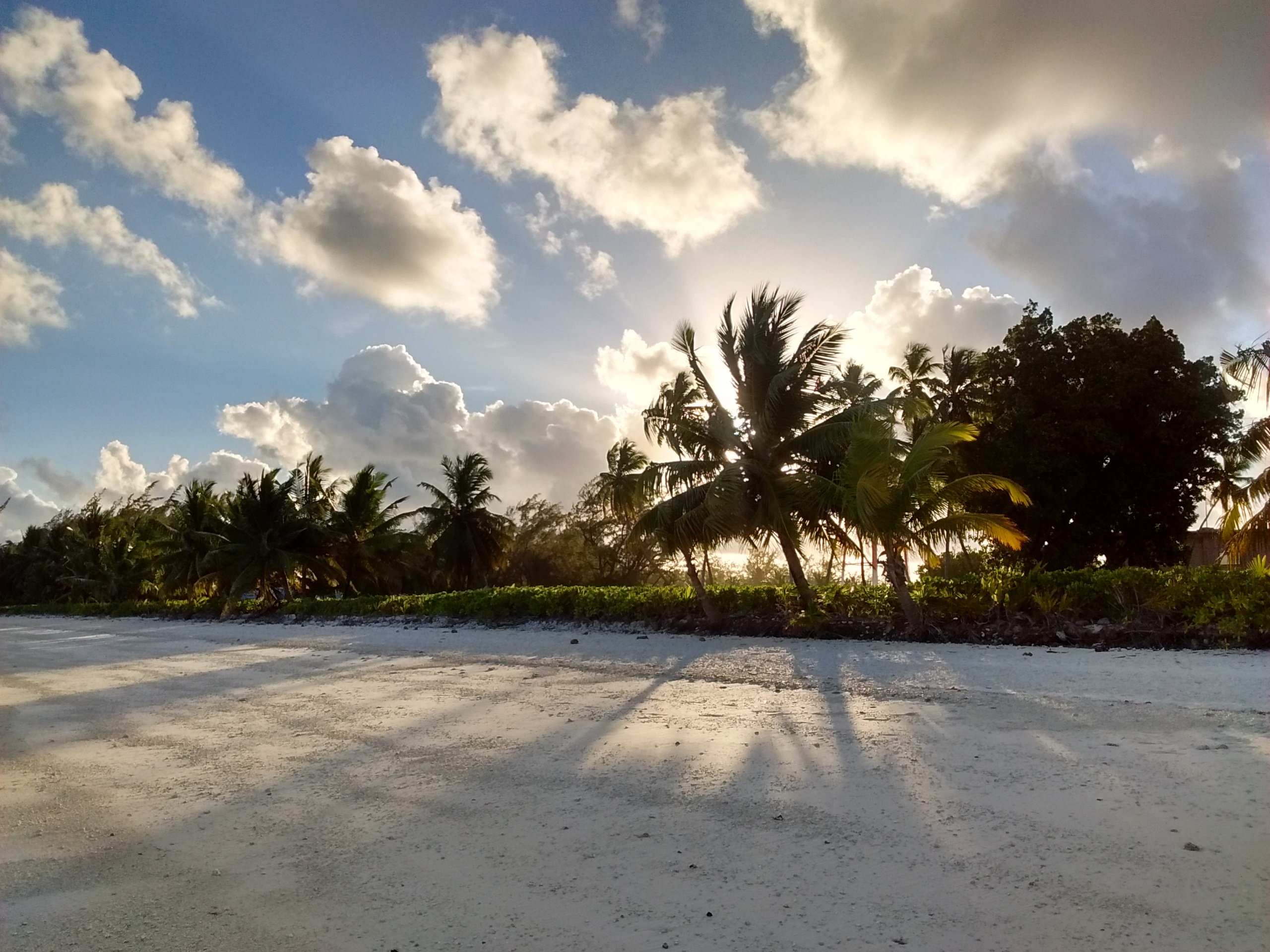Name:  IMG_20161209_182632036_HDR.jpg
Views: 451
Size:  1.54 MB