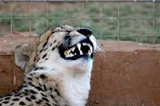 Name:  2016-12-21-13-01-00-2013508969.jpg
Views: 845
Size:  7.1 KB