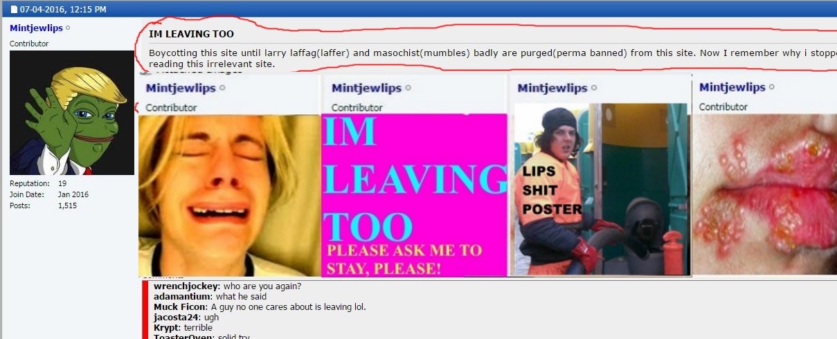 Name:  lipsimleavingsmall.jpg
Views: 529
Size:  171.0 KB