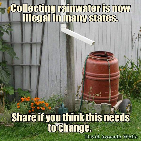 Name:  rainwater-harvesting-illegal-meme.jpg
Views: 762
Size:  70.4 KB