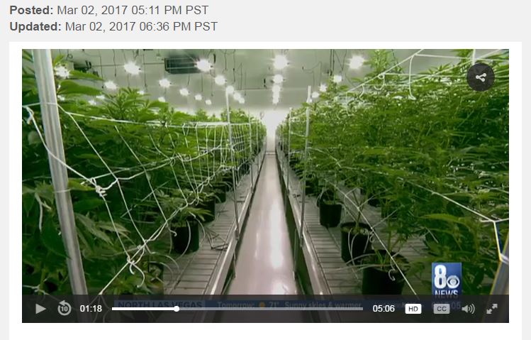 Name:  grow facility.JPG
Views: 475
Size:  75.7 KB