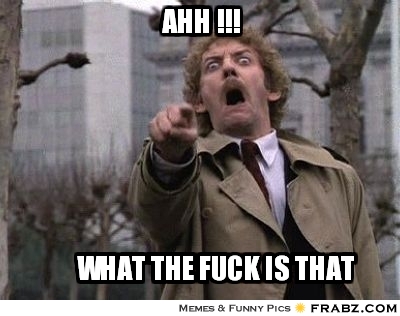 Name:  frabz-ahh--what-the-fuck-is-that-10c438.jpg
Views: 784
Size:  63.4 KB