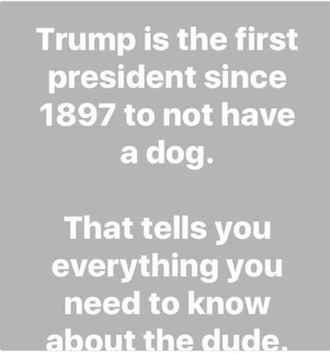 Name:  no dog.JPG
Views: 496
Size:  29.1 KB