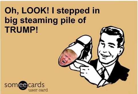 Name:  STEAMING PILE.JPG
Views: 513
Size:  34.8 KB