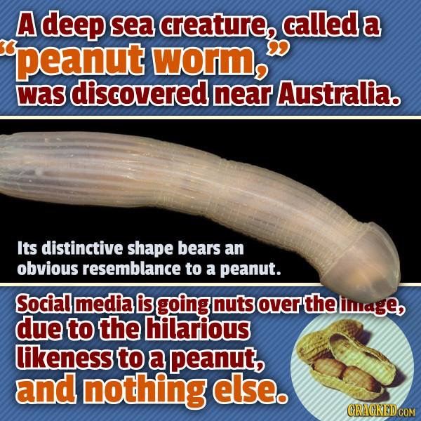 Name:  IMG_6060.JPG
Views: 430
Size:  145.7 KB